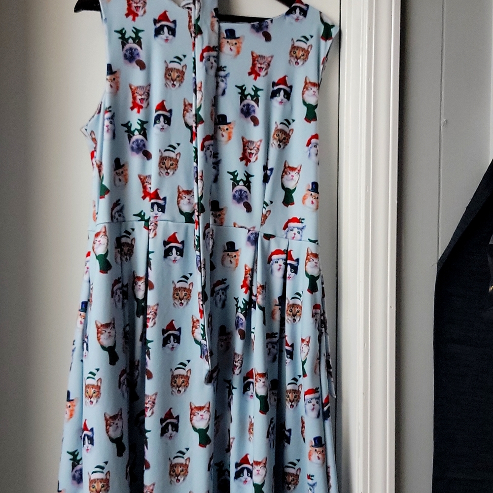 Nwot haute dress